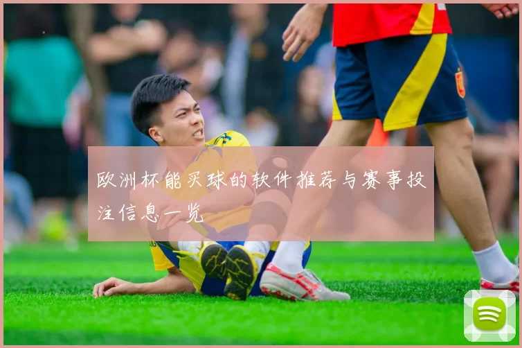 欧洲杯能买球的软件推荐与赛事投注信息一览