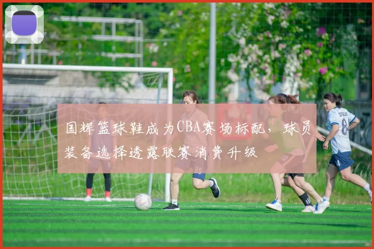 国辉篮球鞋成为CBA赛场标配，球员装备选择透露联赛消费升级