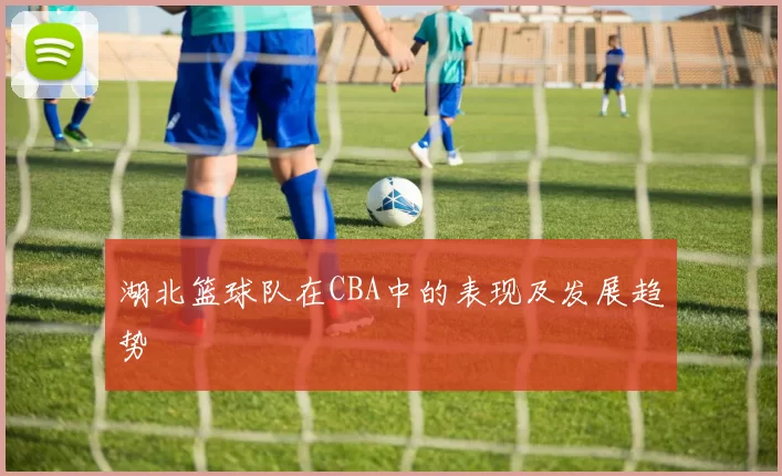 湖北篮球队在CBA中的表现及发展趋势
